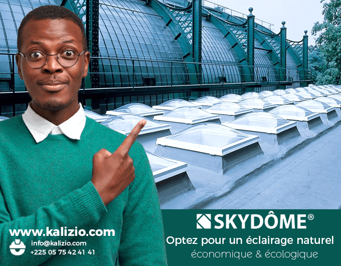 Skydome
